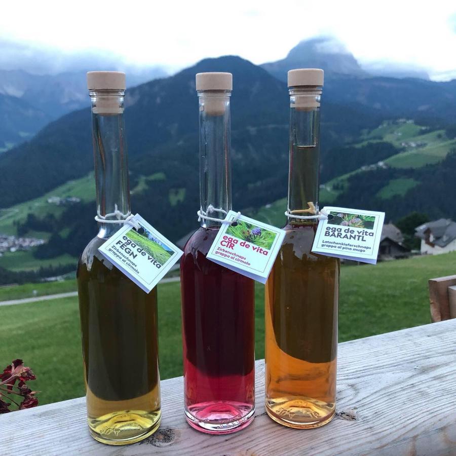 Alpinus Agriturism Apartman San Martino in Badia Kültér fotó