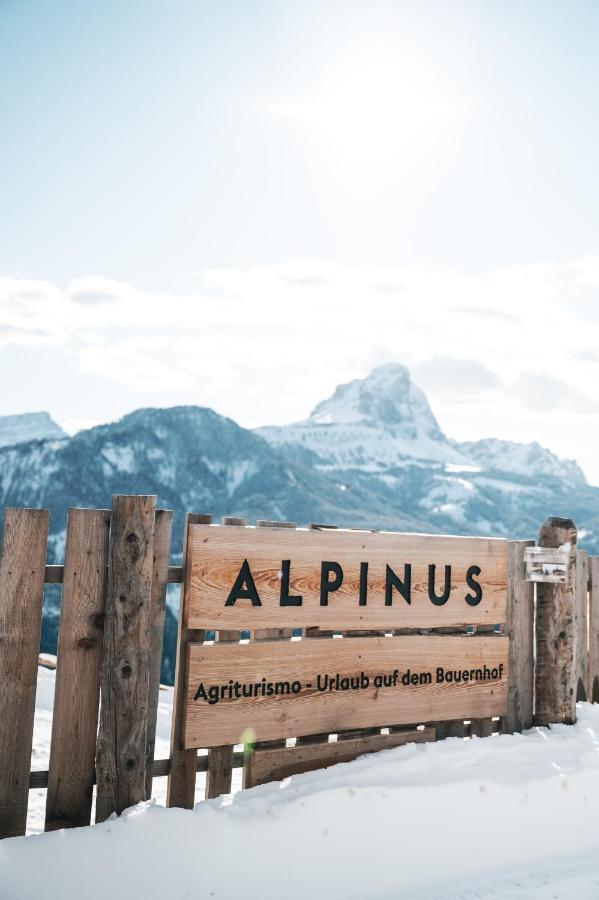 Alpinus Agriturism Apartman San Martino in Badia Kültér fotó